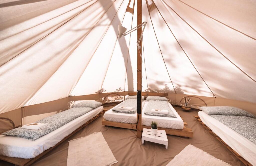 Pigna Felice Talamone - Analisi di Pigna Felice Talamone